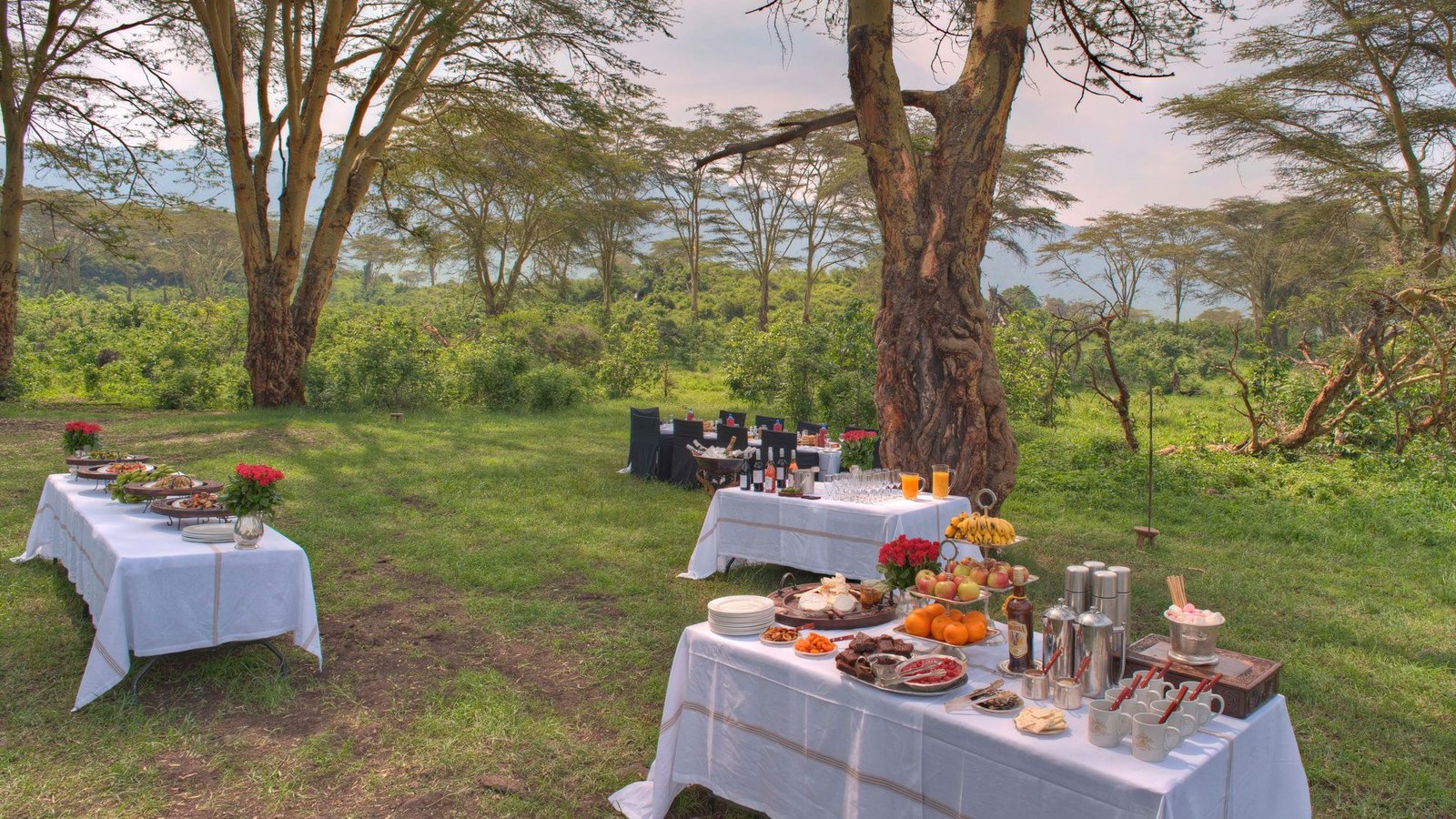 Dining al fresco on the Crater floor amid wildlife.