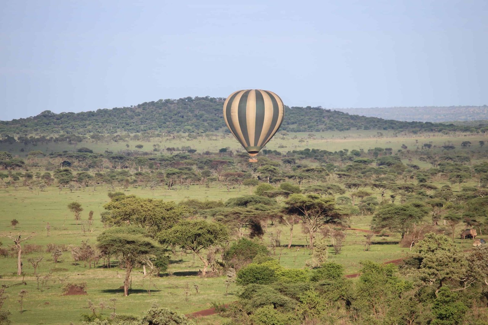 Float above plains, descend for champagne breakfast on the grass.