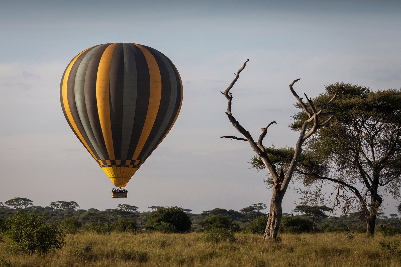 Balloon,Over,Savana,During,Safari,In,Serengeti,National,Park,,Tanzania.