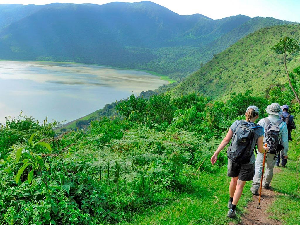 Nature Walks and Rim Trails