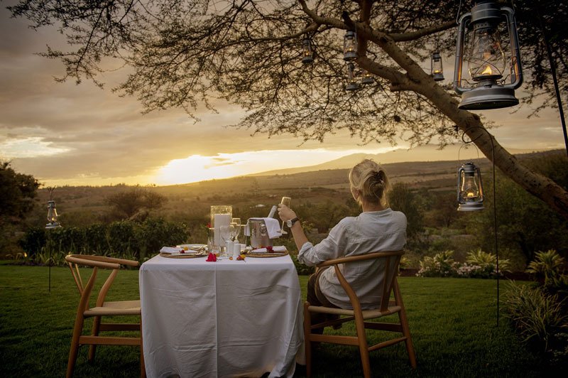 Outdoor meals beneath acacia trees at sunrise or midday.