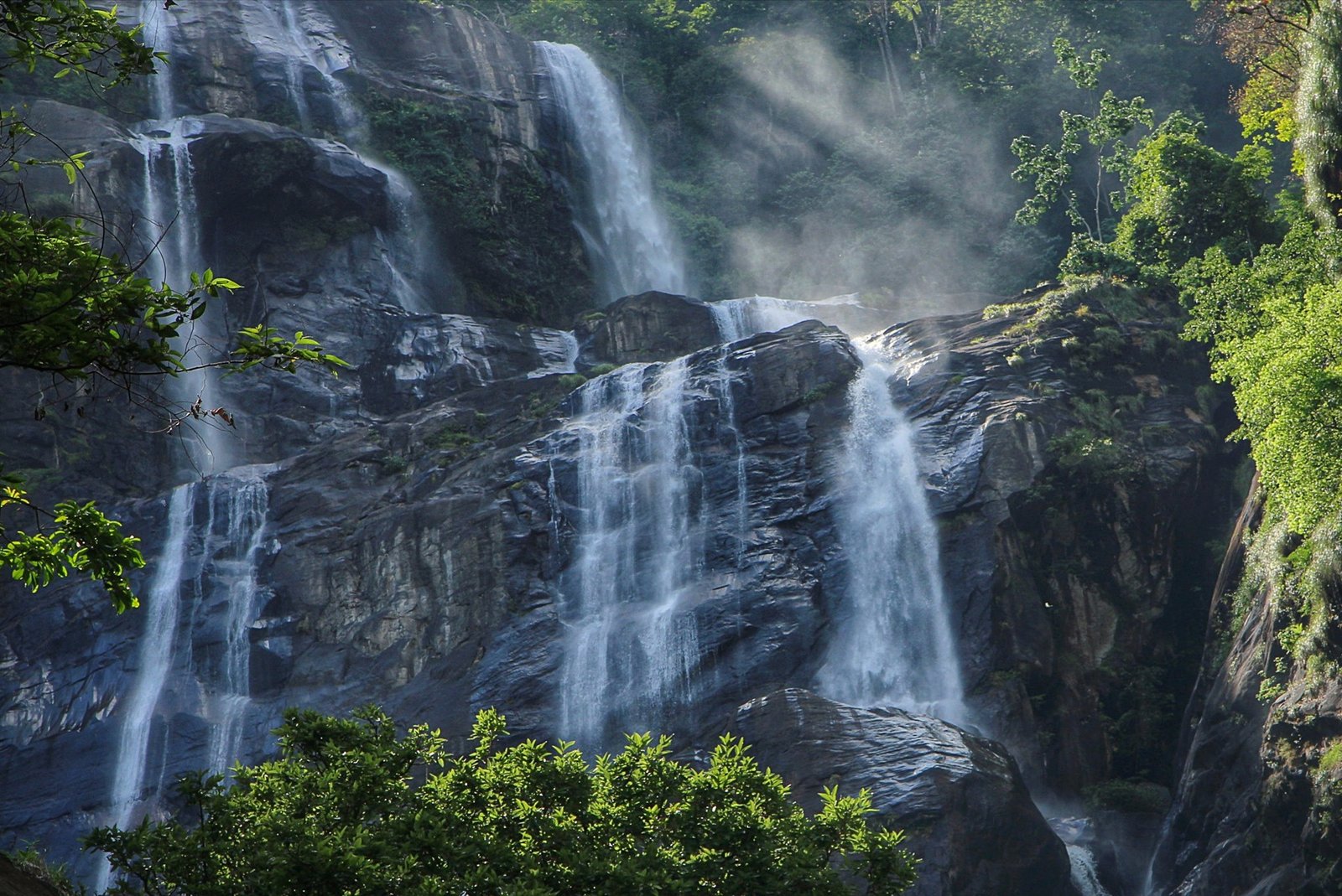 Short hike to Kakombe waterfall nestled in lush forest surroundings.