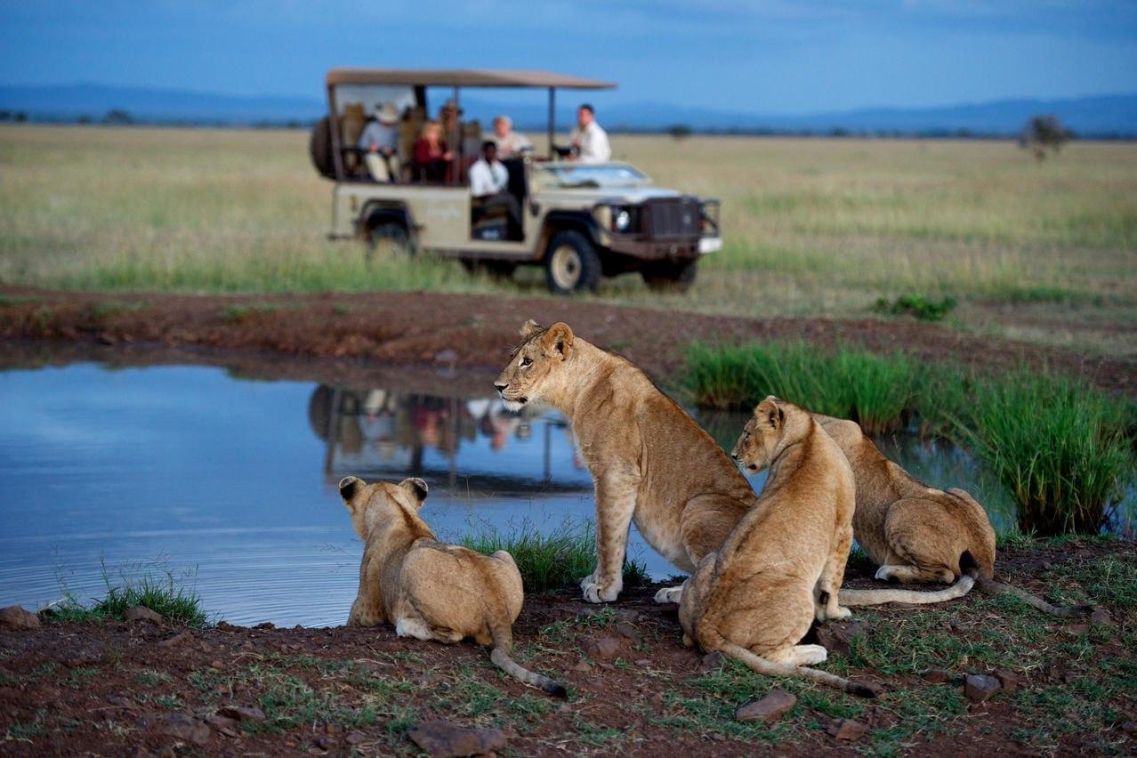 Ultimate-Guide-to-Grumeti-Game-Reserve-in-Serengeti-National-Park