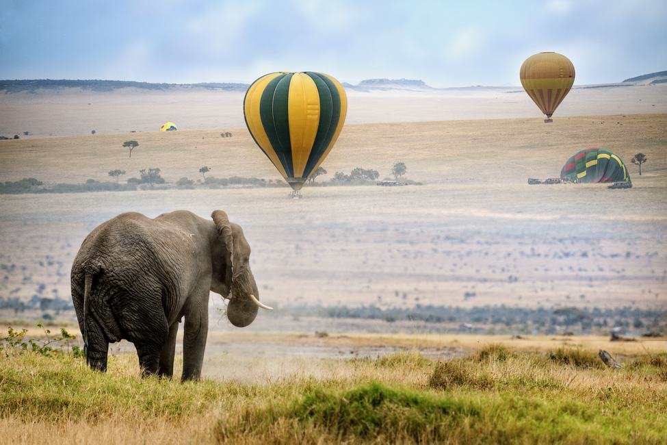 baloon safris