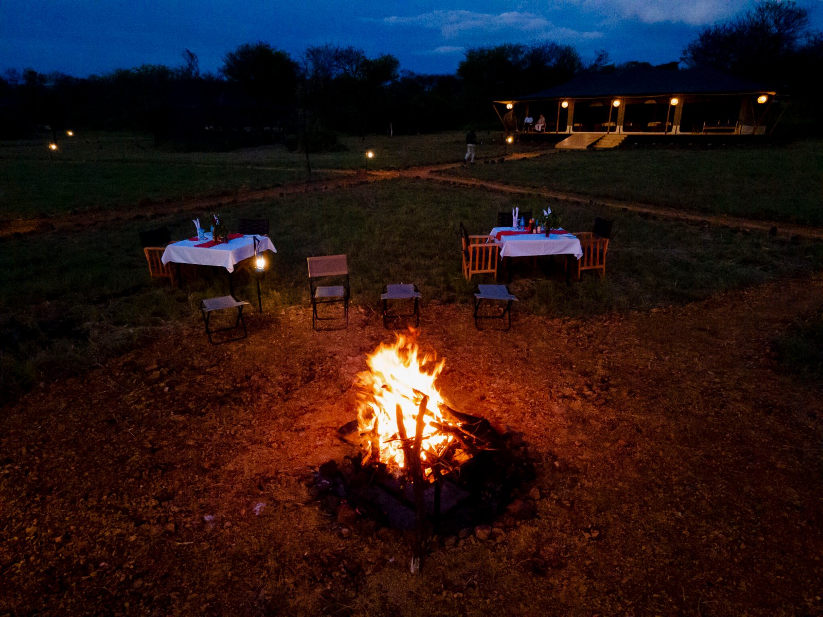 bush dinner