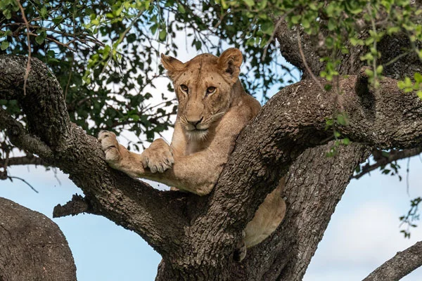 lake-manyara-national-park2