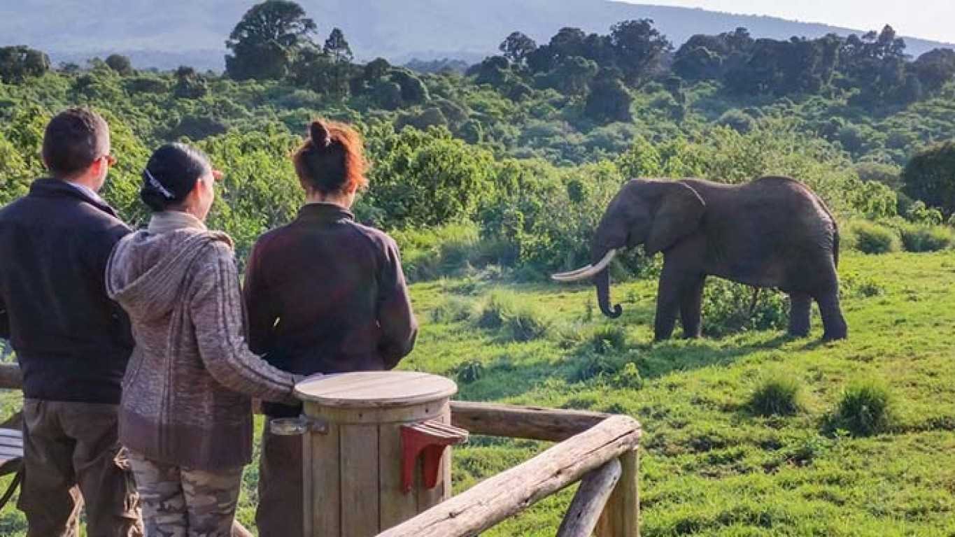 wildlife viewing lodge