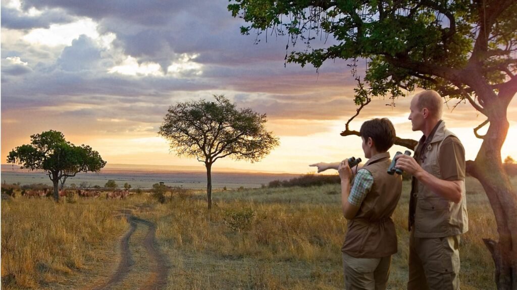 honeymoon safari